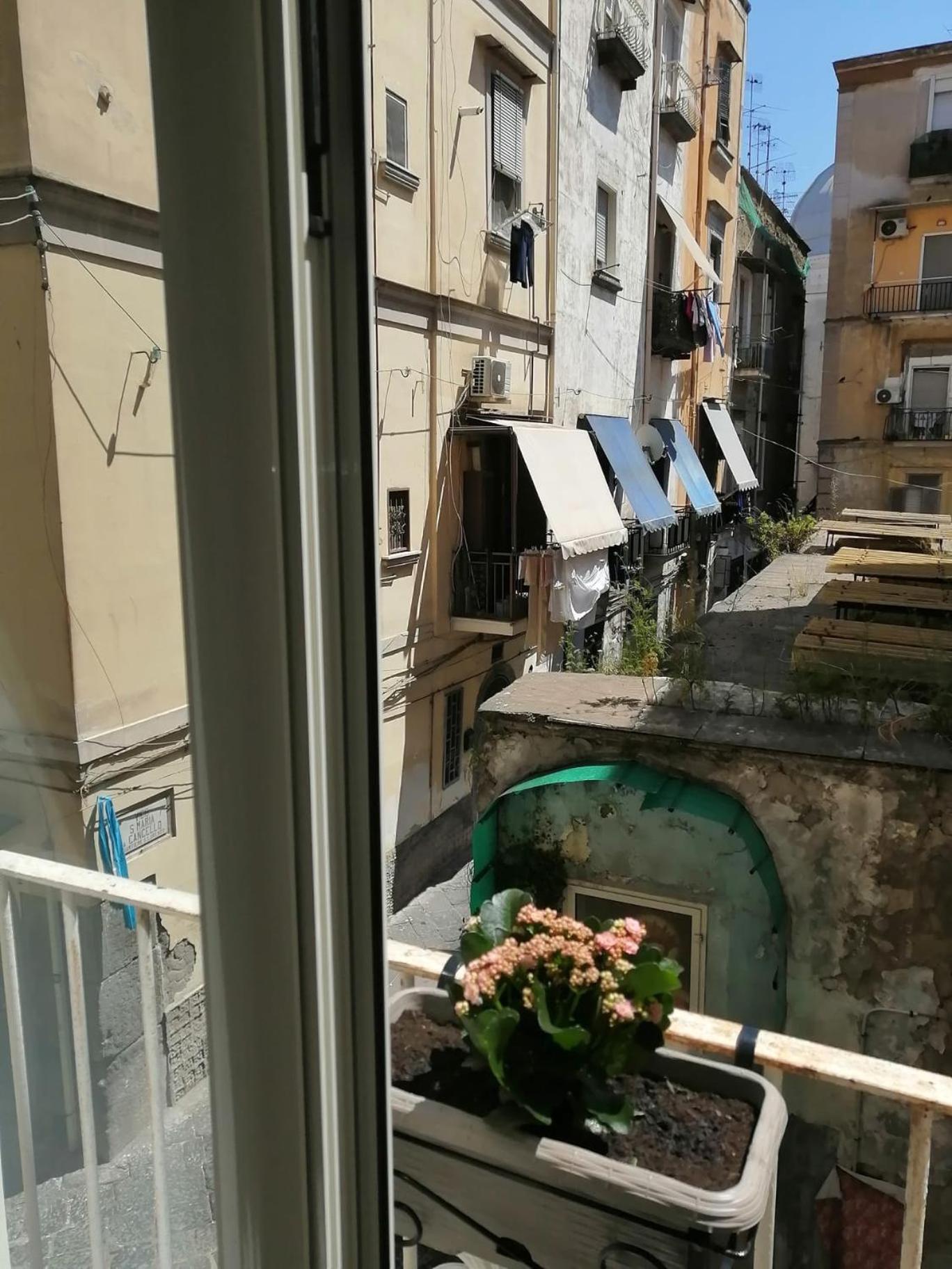 ナポリIl Vicoletto Sul Castelloアパートメント エクステリア 写真